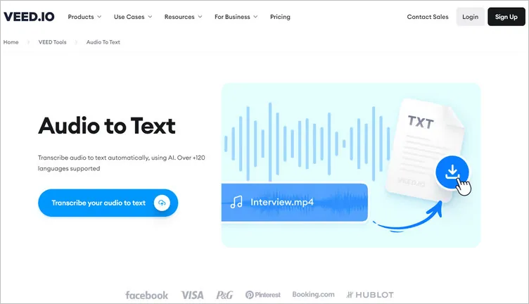 Audio to Subtitle Converter: VEED