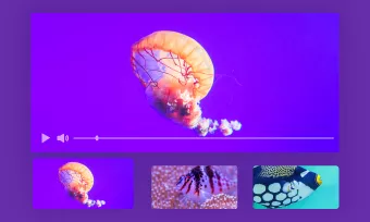 video storyboard